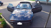 supra 4.png